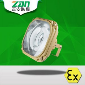 節(jié)能防爆燈