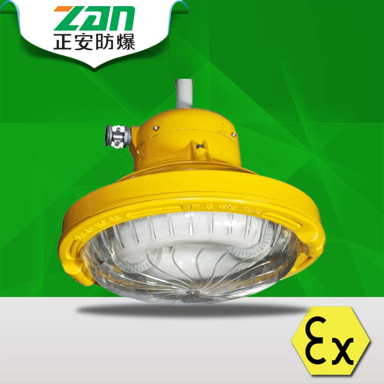 LED防爆應(yīng)急燈